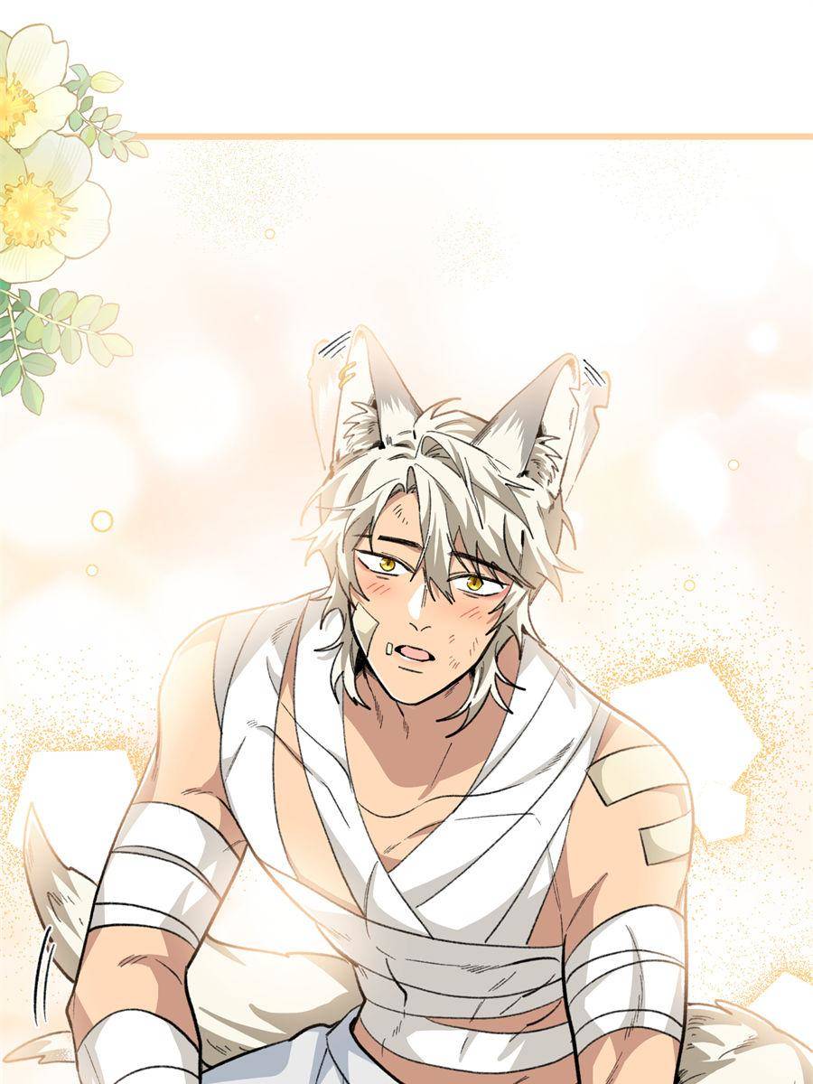 87485849 900 1200 116460